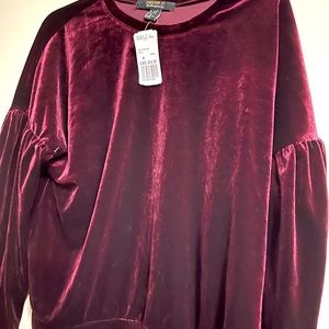 Brand new with tag velvet top